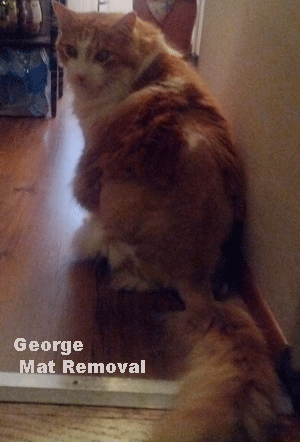George Mat Removal