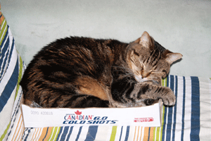 SukiBox